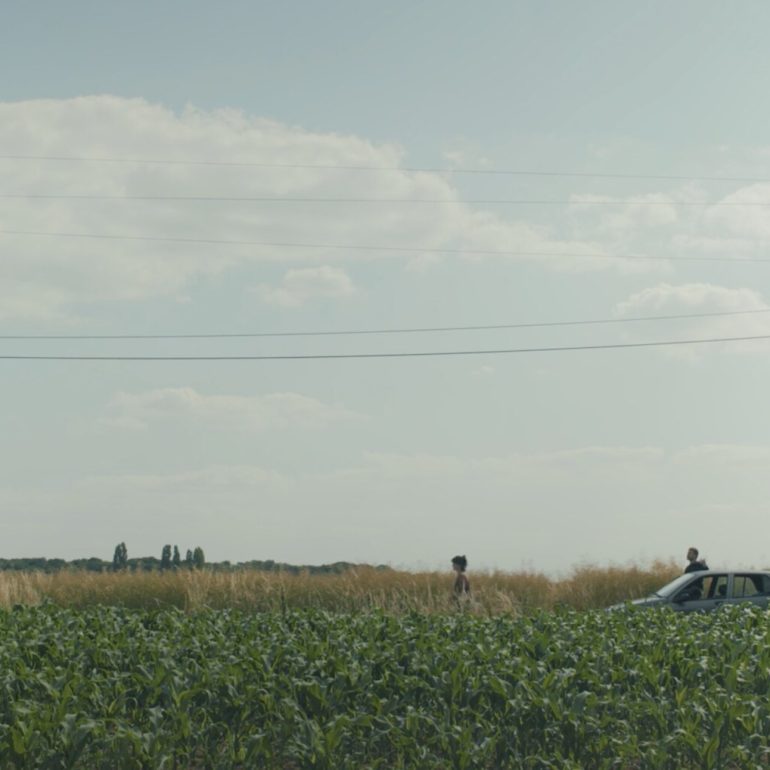 Image du film LES CHAMPS