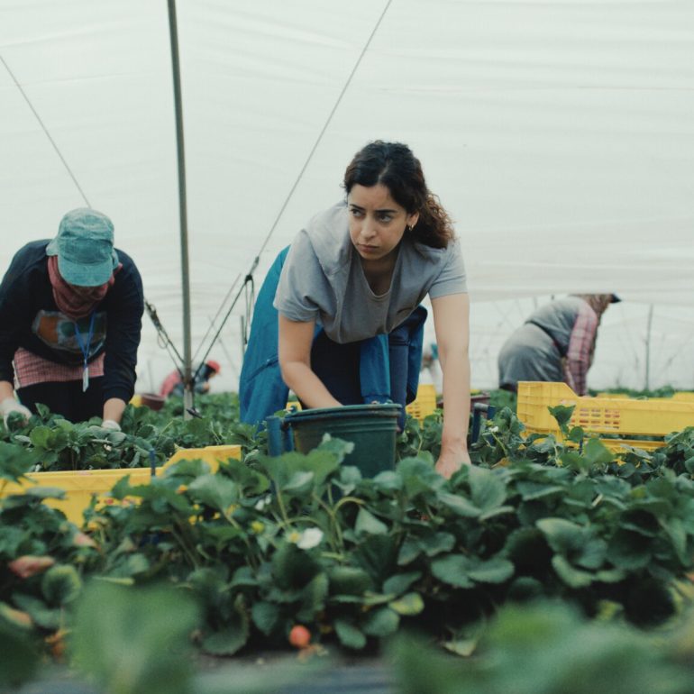 Image du film LES FRAISES